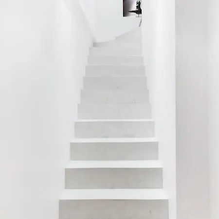 Magnificent Loft In The Latin Quarter