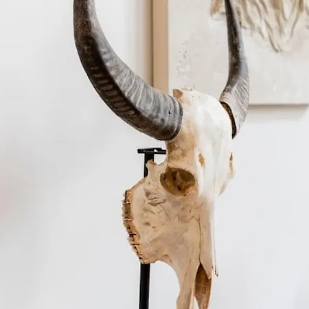 Magnificent Loft In The Latin Quarter Appartamento